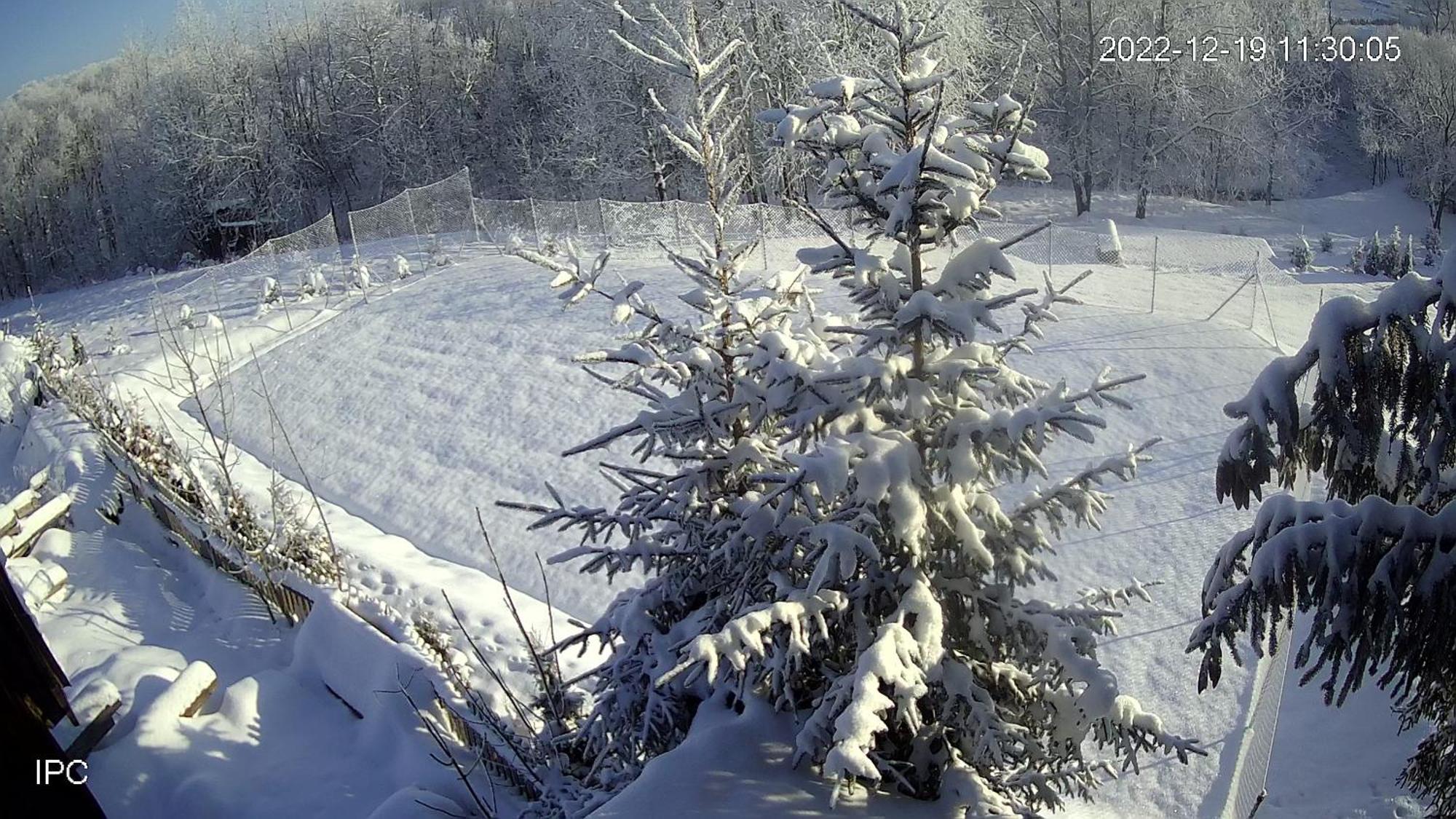 Noclegi Nad Czarna Orawa Podwilk Kültér fotó